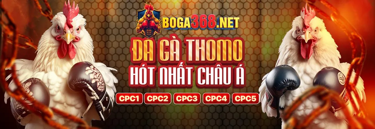 Nền tảng cá cược trực tuyến 55my an toàn và tin cậy