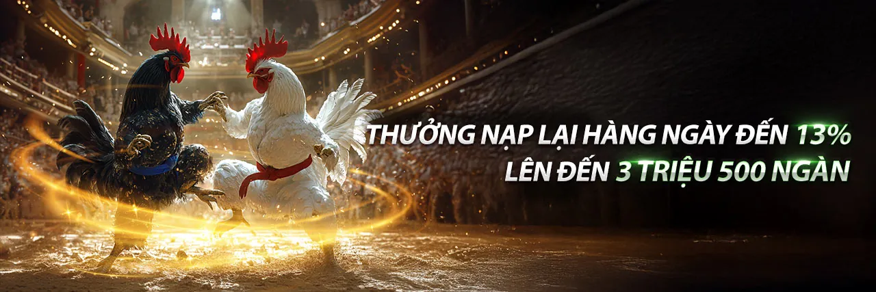 Banner khuyến mãi 55my