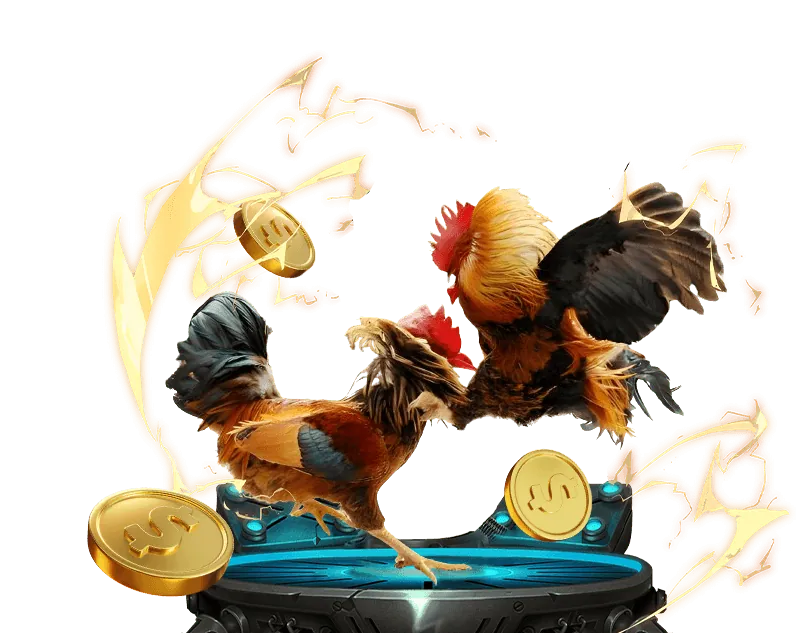 Đá gà trực tuyến 55my với các trận đấu kịch tính